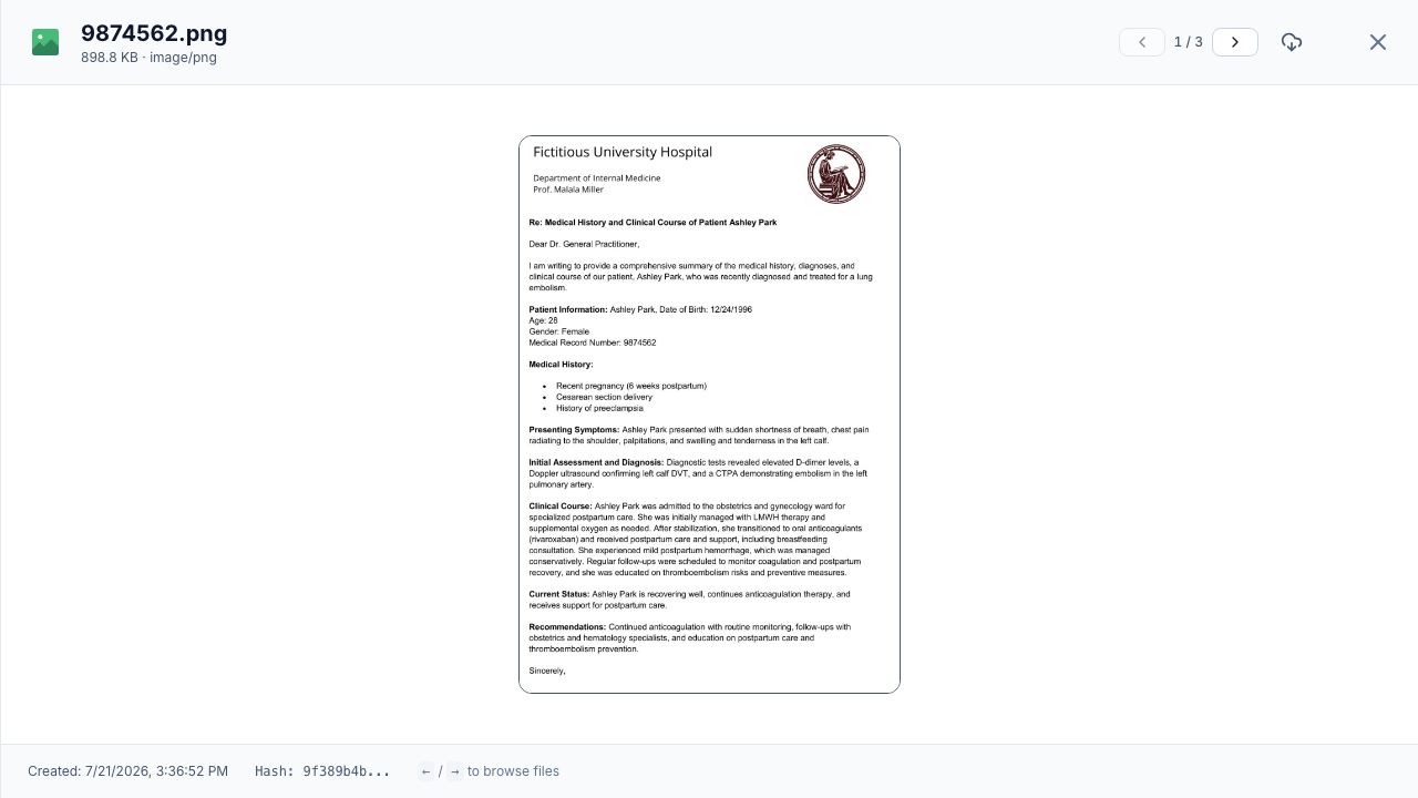 File preview slide-over showing a scanned report PNG with a file pager